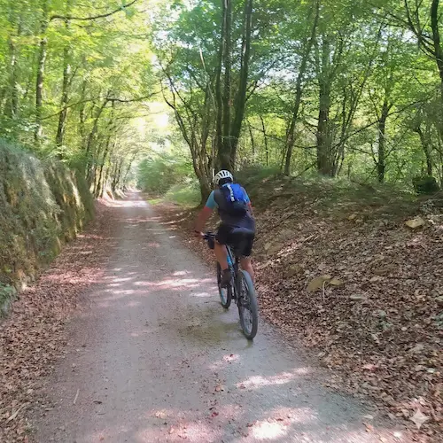 Ciclista pedaleando por la vía verde el Plazaola en una ruta de Rodando en verde